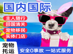临汾尧都航空货运国际宠物托运 【国